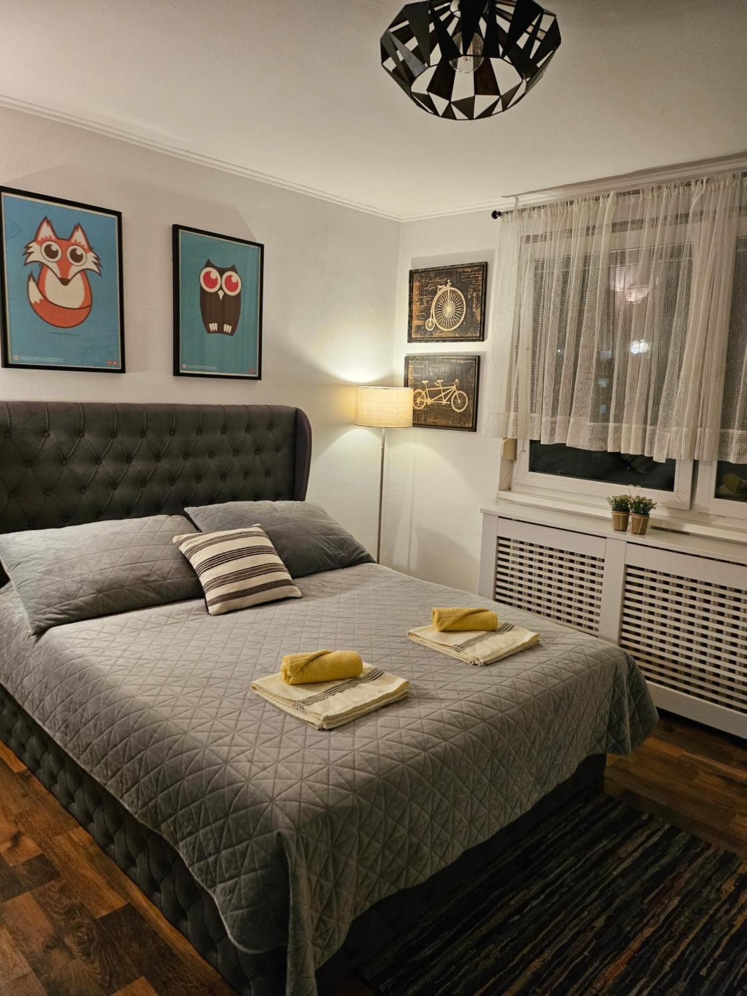 Charming, Cozy & Joyful Modern Oasis *